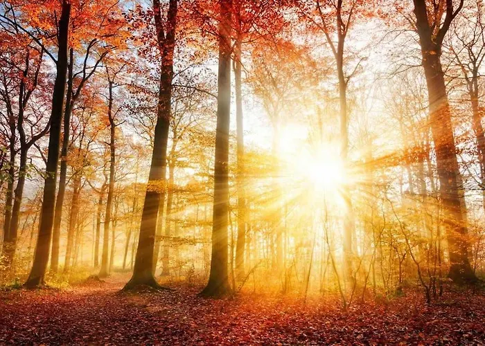 Private Big Garden Double With Outside Hottub And Barrelsauna, Woodside, Nature Lejlighed *