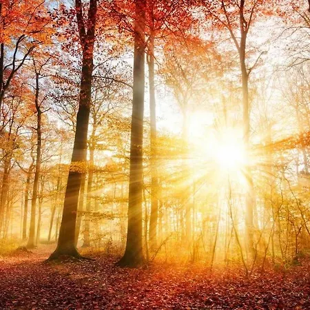 Private Big Garden Double With Outside Hottub And Barrelsauna, Woodside, Nature شقة *